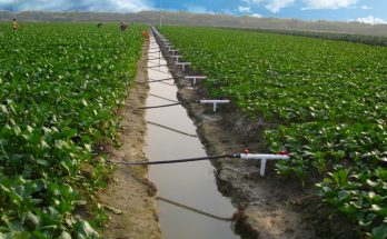 drip irrigation system 02