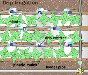 drip irrigation systems