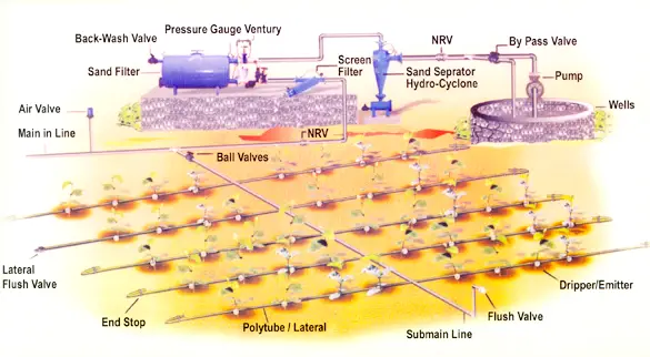 drip irrigation system design