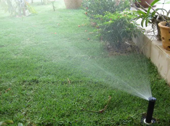 automatic watering timers