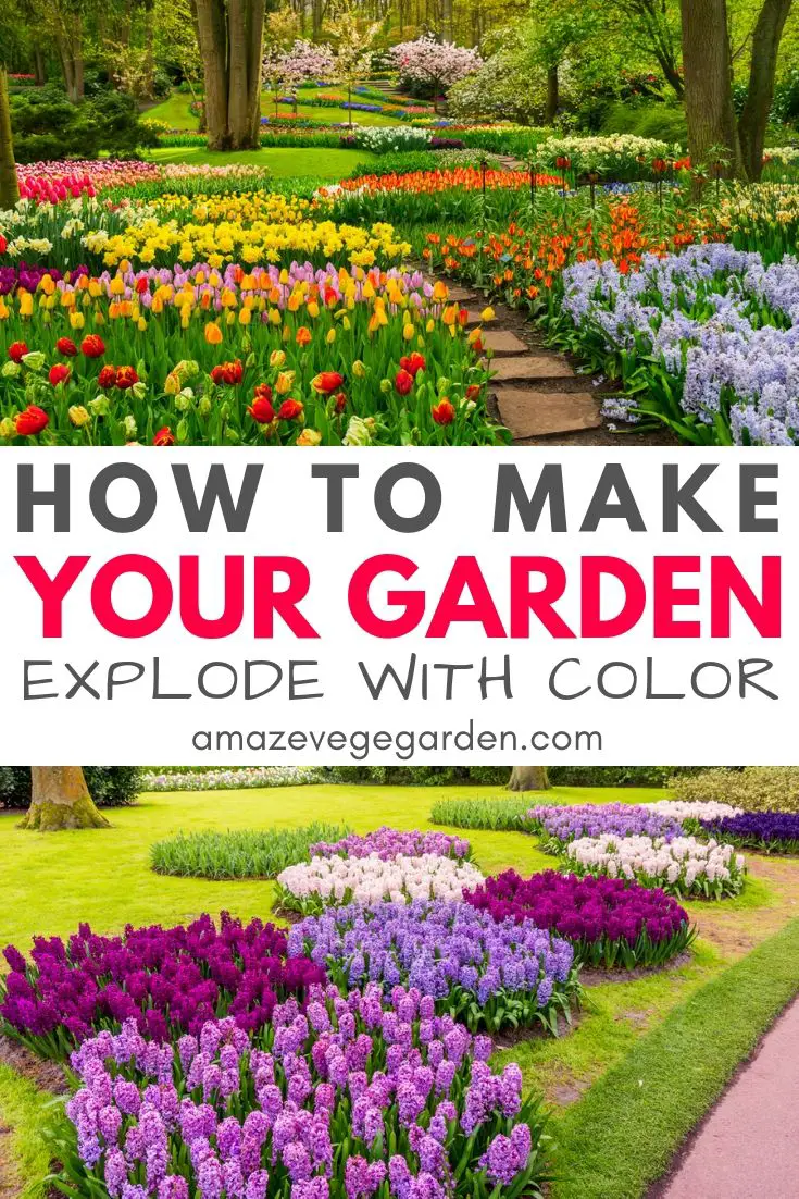 how to make your garden explore with color