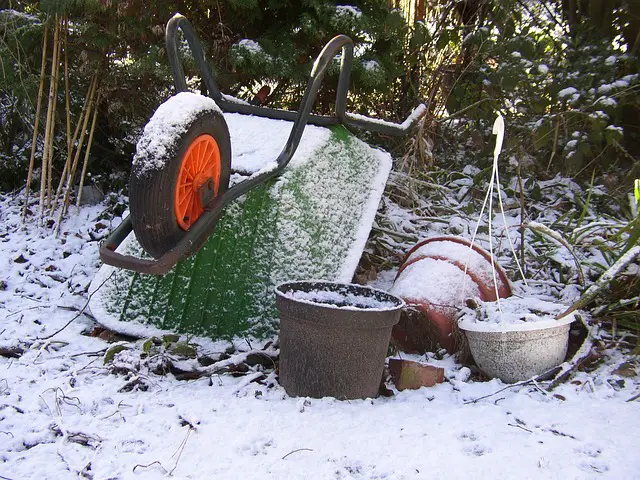 winter gardening