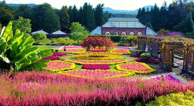 Biltmore fall garden