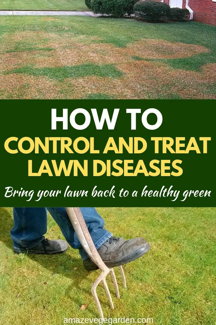 how to control treat lawn diseases