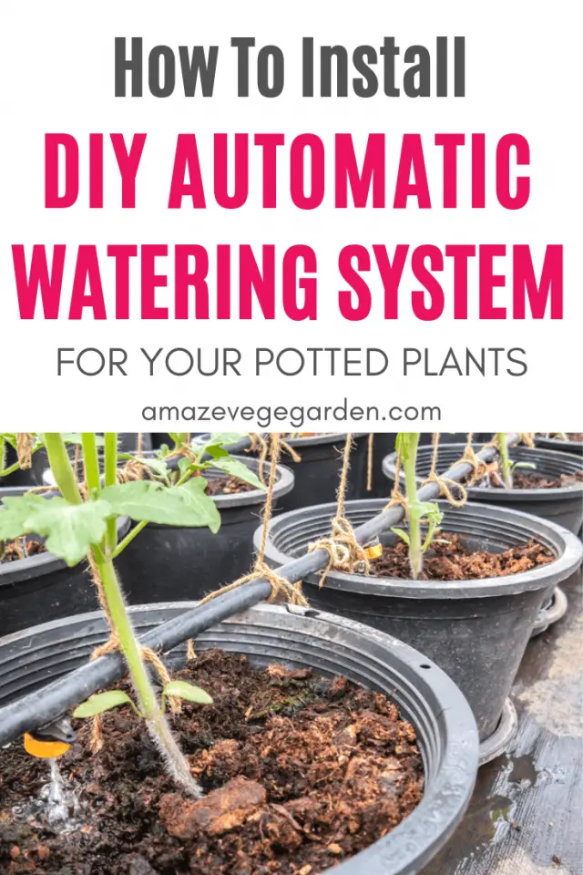 How To Install A DIY Automatic Watering System for Potted Plants Amaze Vege Garden