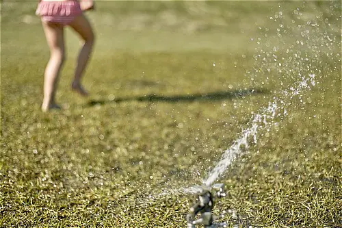 lawn sprinkler