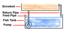 flood drain aquaponics