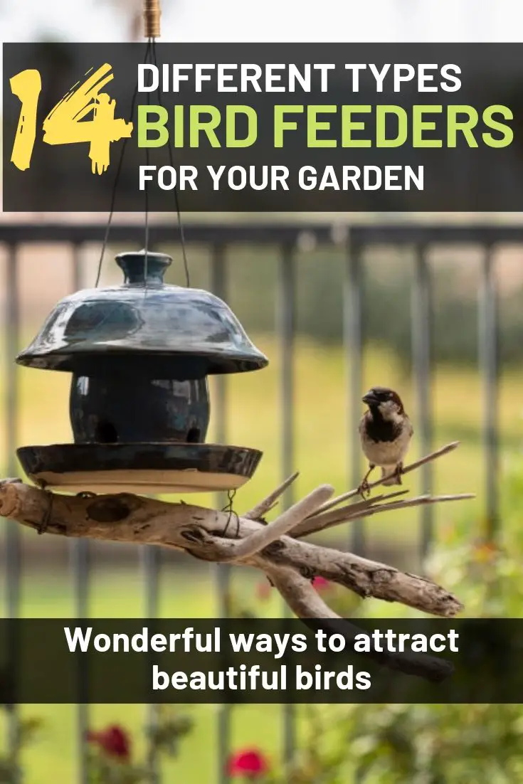 14 different types of bird feeders for your garden