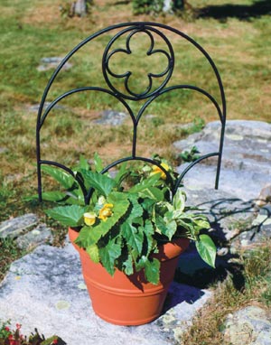 Quatrefoil Trellis