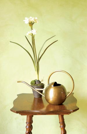 brass watering can