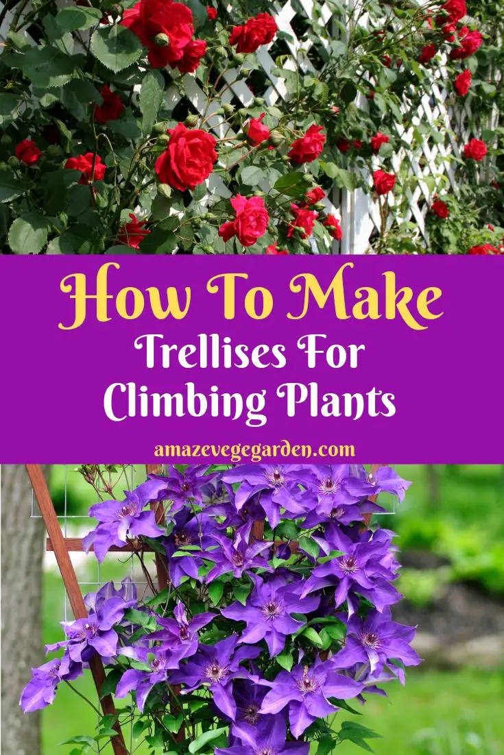 how to make trellises for climbing plants