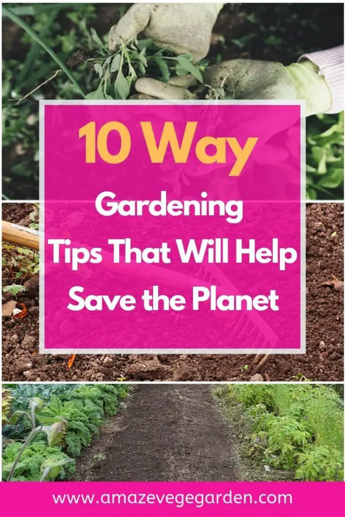 10 Way Gardening Tips That Will Help Save the Planet