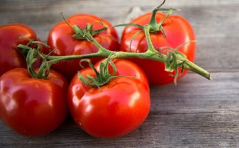 growing tomatoes