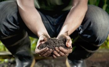 gardening soil