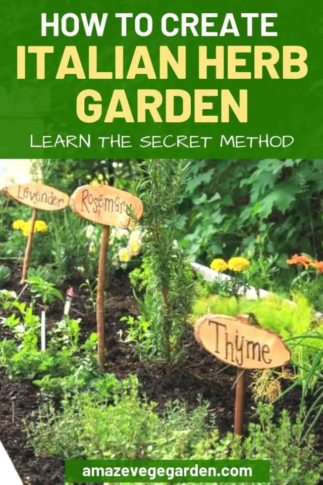 How to Create an Italian Herb Garden – Amaze Vege Garden