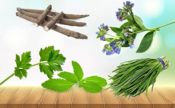 common herbs