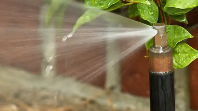 8 Common Sprinkler System Problems and Solutions – Amaze Vege Garden