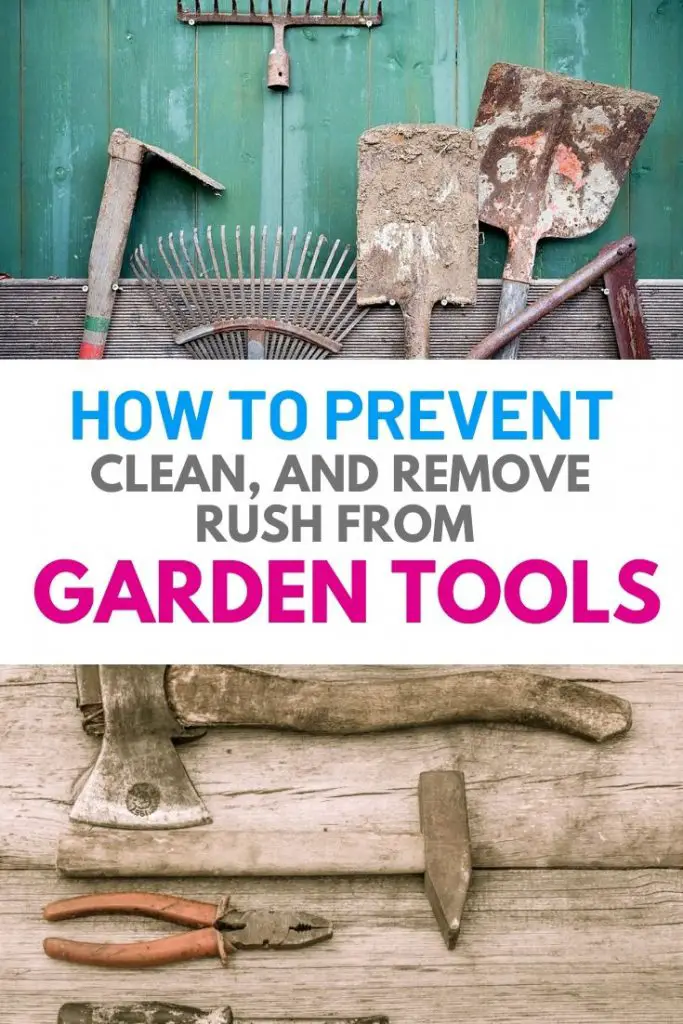 How To Prevent, Clean, and Remove Rust From Garden Tools Amaze Vege