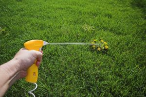 herbicide