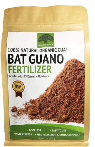 Bat Guano