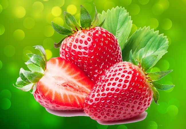 day neutral strawberries