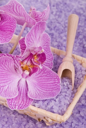 caring for orchids