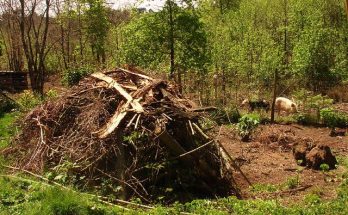 compost pile