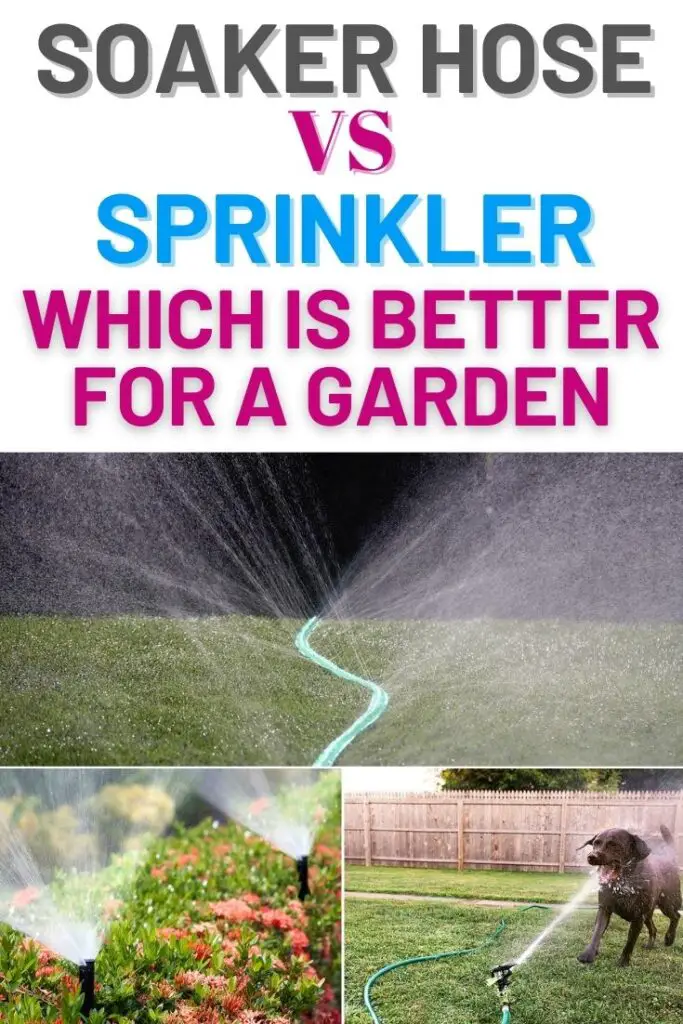 Soaker Hose vs. Sprinkler Which is Better for a Garden? Amaze Vege