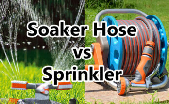 soaker hose vs sprinkler