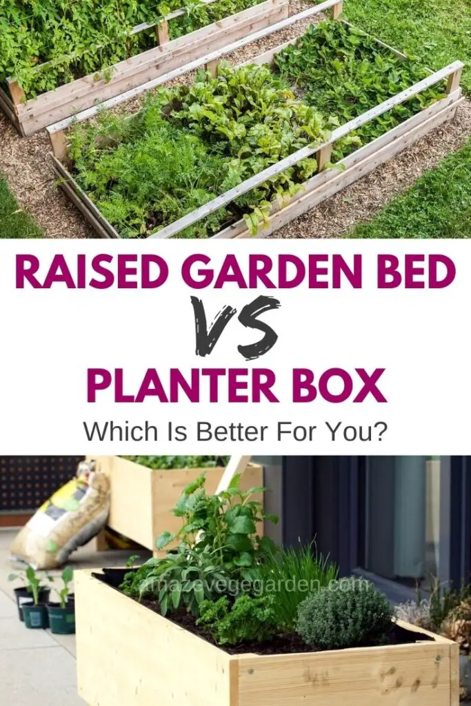 Raised Garden Bed Versus Planter Box Which Is Better For You? Amaze