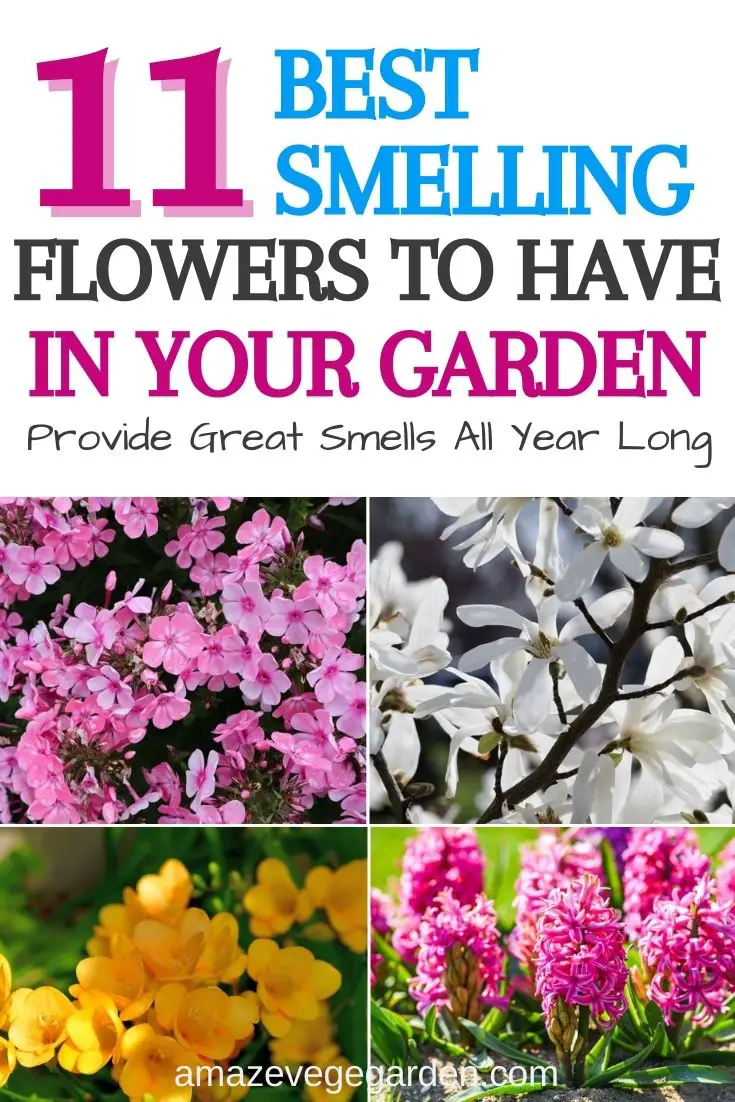 11 Best Smelling Flowers to Have in Your Garden