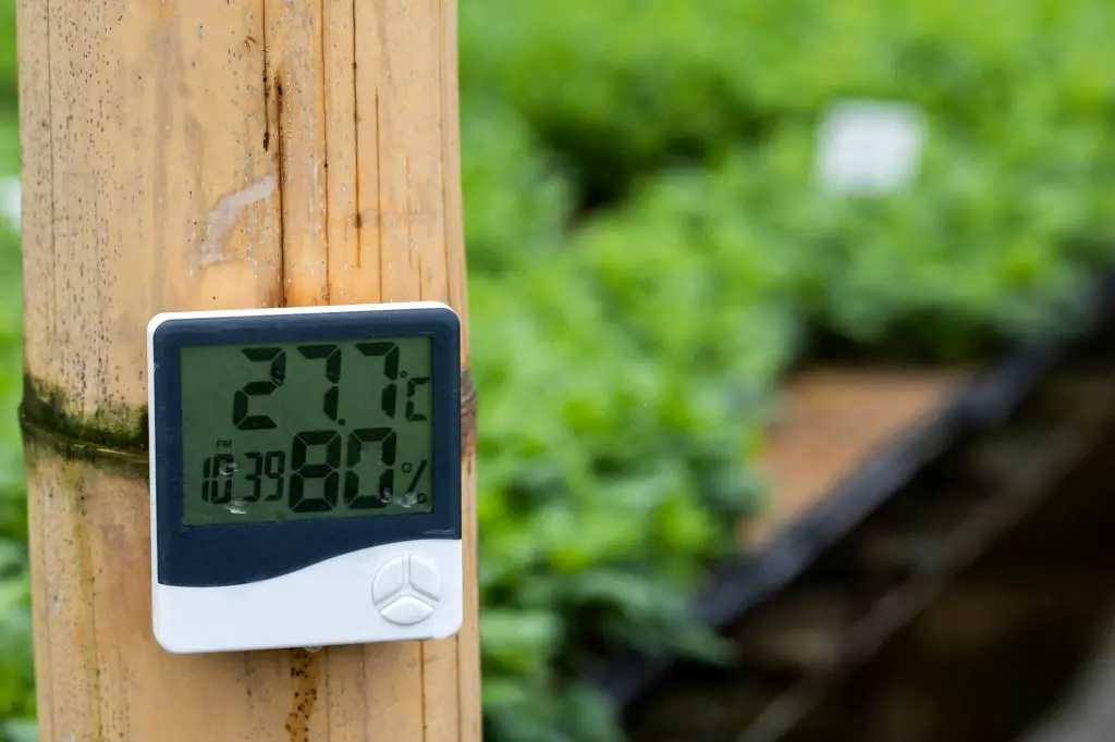 Humidity in Indoor Gardening