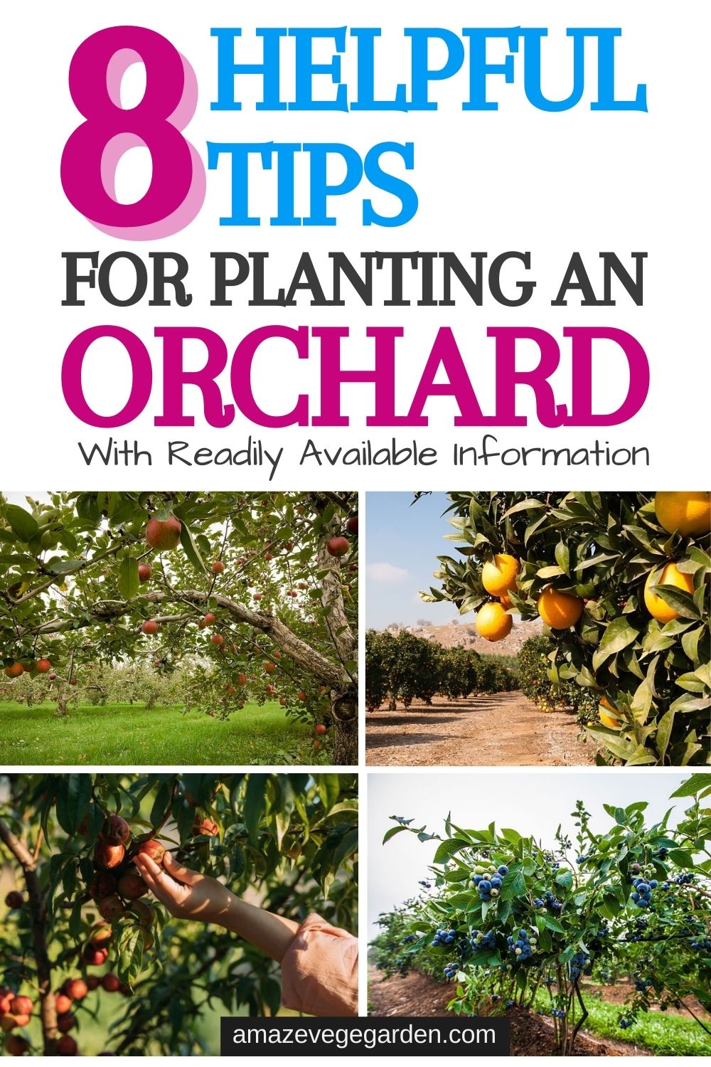 8 Helpful Tips For Planting An Orchard