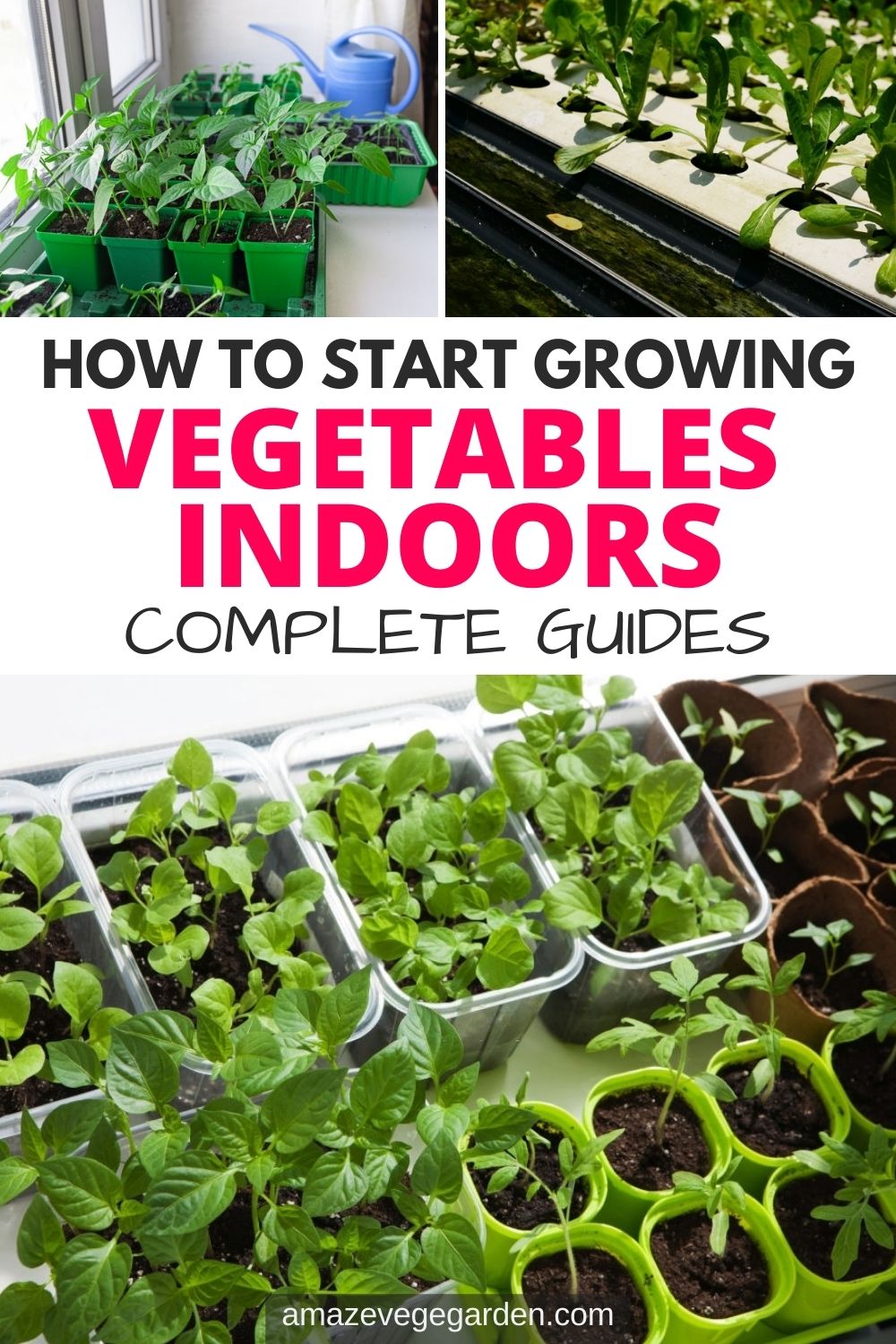 How to Start Growing Vegetables Indoors