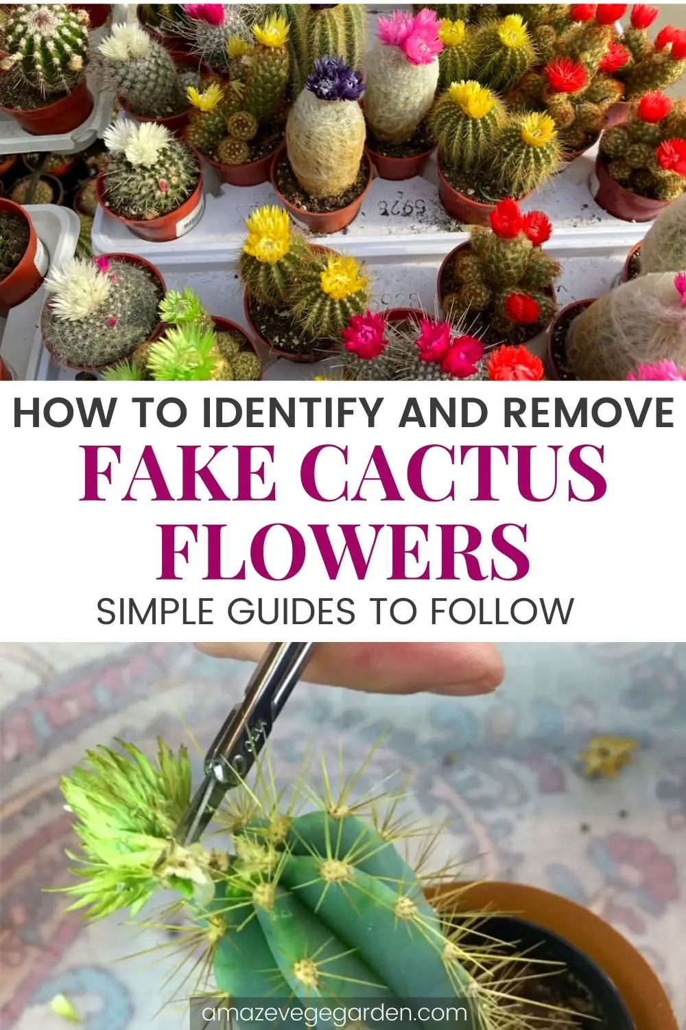 How To Identify and Remove Fake Cactus Flowers
