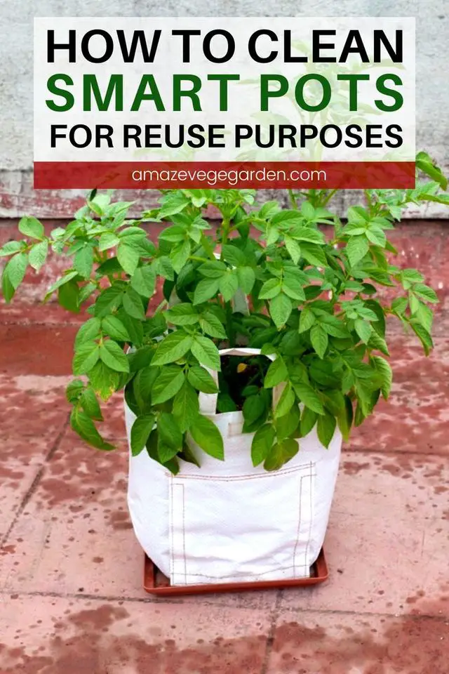 Smart Pots - How To Clean Them for Reuse Purposes