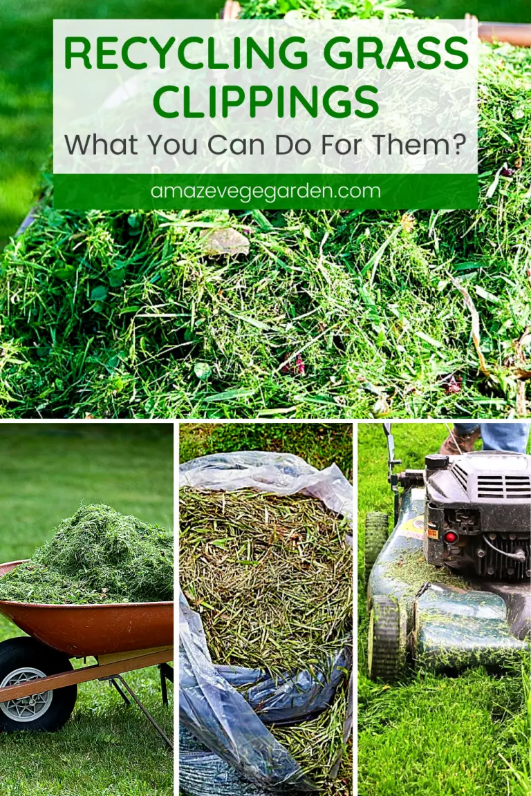 Recycling Grass Clippings What You Can Do With Them Amaze Vege Garden