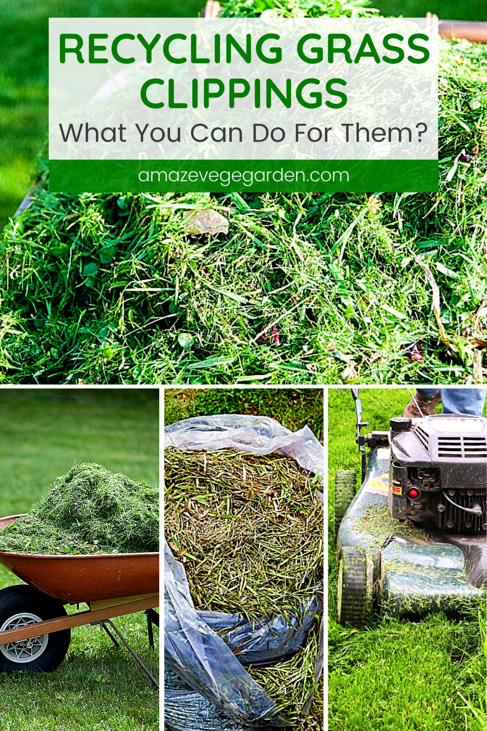 Recycling Grass Clippings What You Can Do For Them