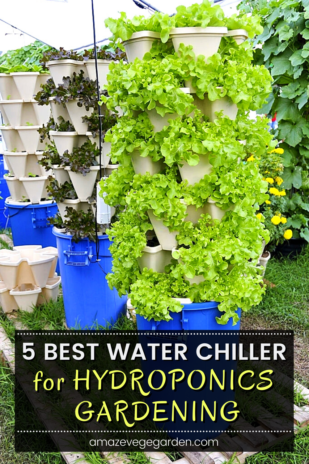 There is 5 best water chiller you can consider to control your hydroponic gardening temperatures. We do not want warm temperatures because warm temperatures will increase the chances of bacterial growth which will cause root rot and other problems. So keeping your water temperature under control might be one of the simplest things you can do.