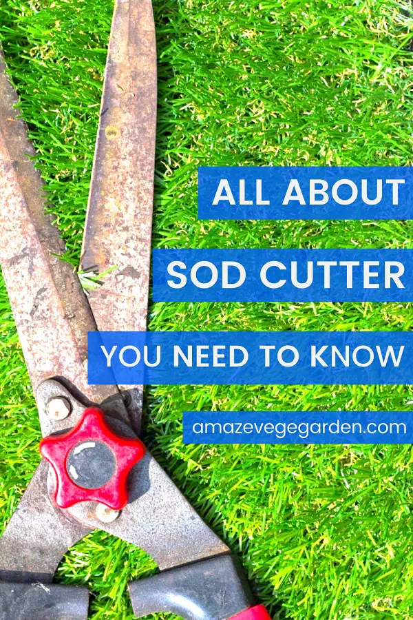 All About Sod Cutter You Need To Know