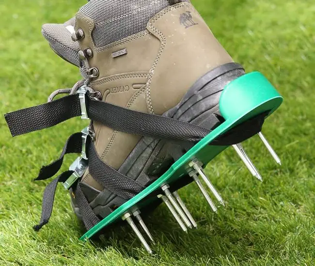 aerator shoes