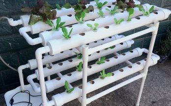 Hydroponics System