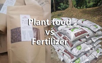 plant food vs fertilizer