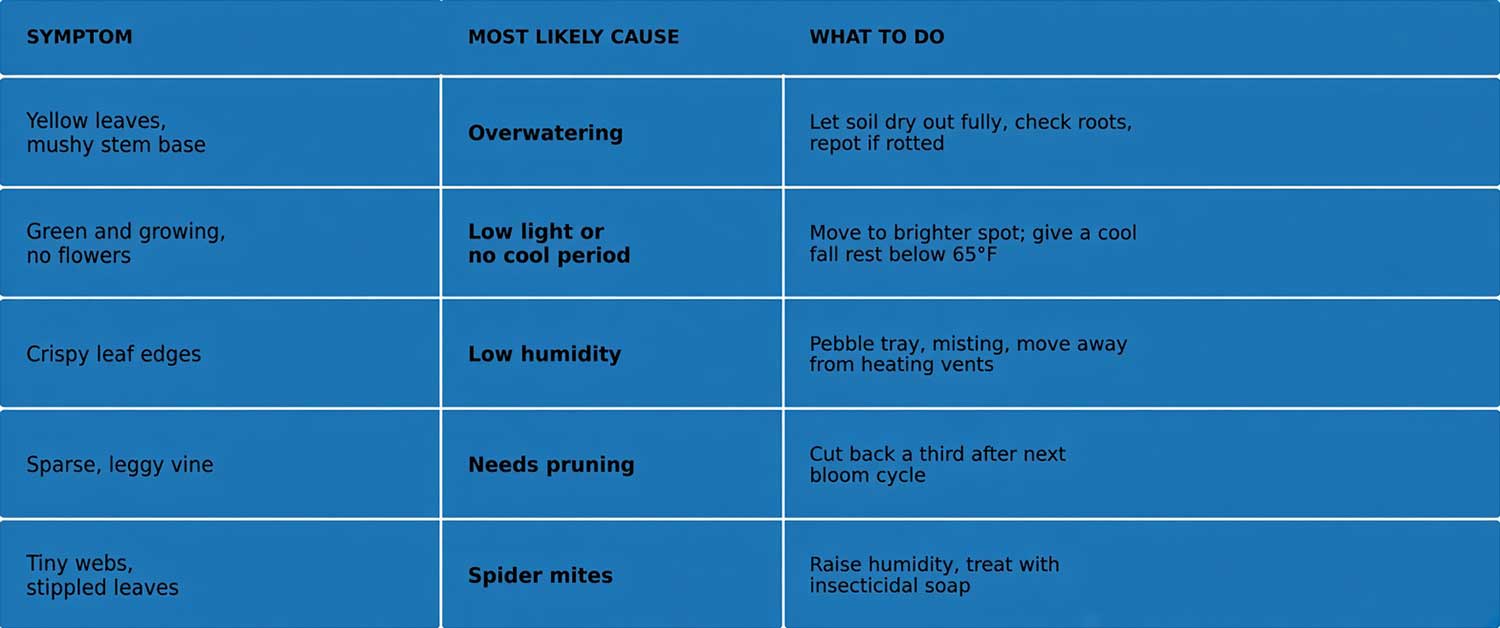 jasmine plant troubleshooting chart